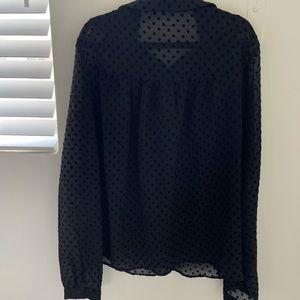 Zara long sleeve sheer shirt